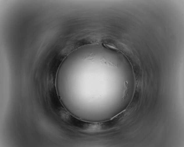 X0000088150335200705211201