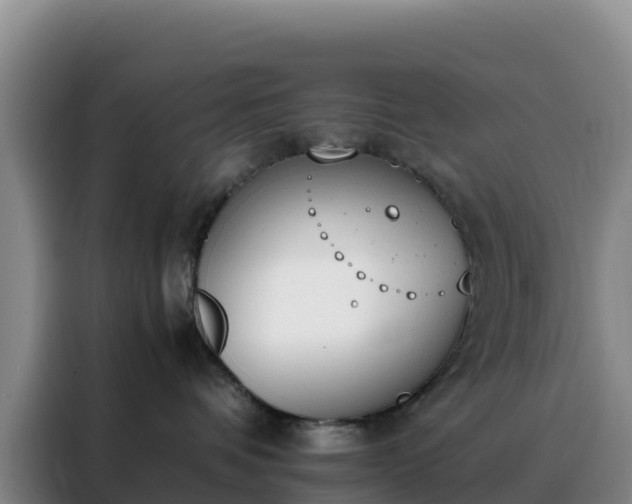 X0000088150336200705211201