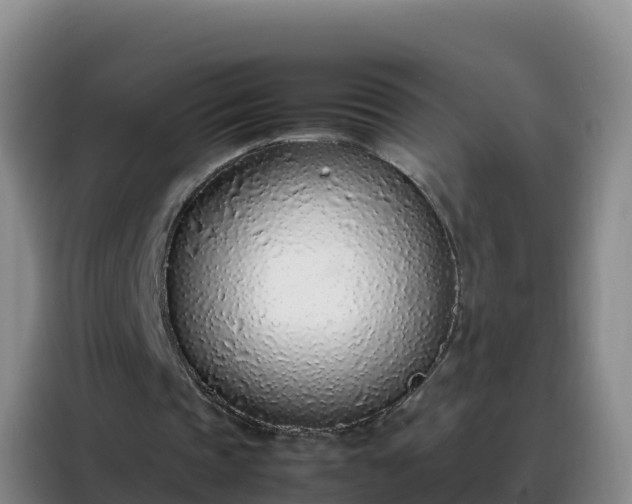 X0000088150337200705211200