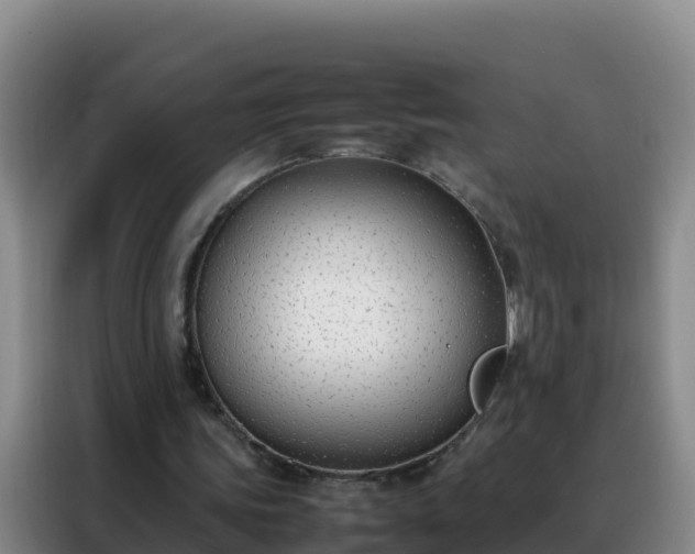 X0000088150339200705211200