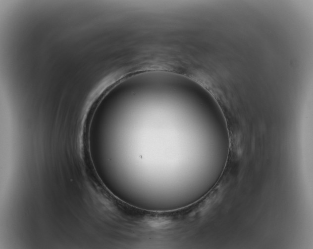 X0000088150340200705211200