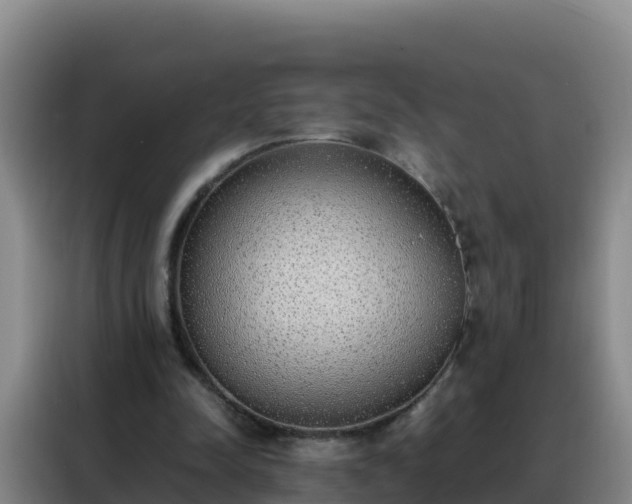 X0000088150342200705211200