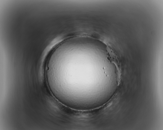 X0000088150343200705211200