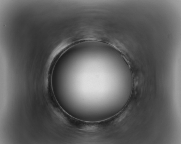 X0000088150344200705211200