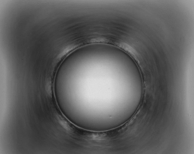 X0000088150345200705211200