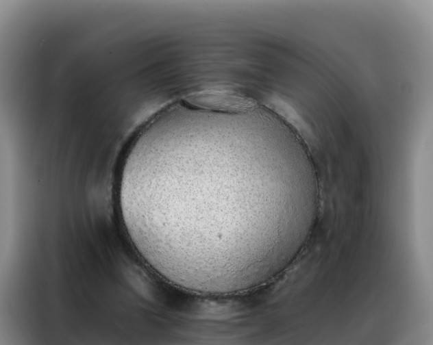 X0000088150346200705211200