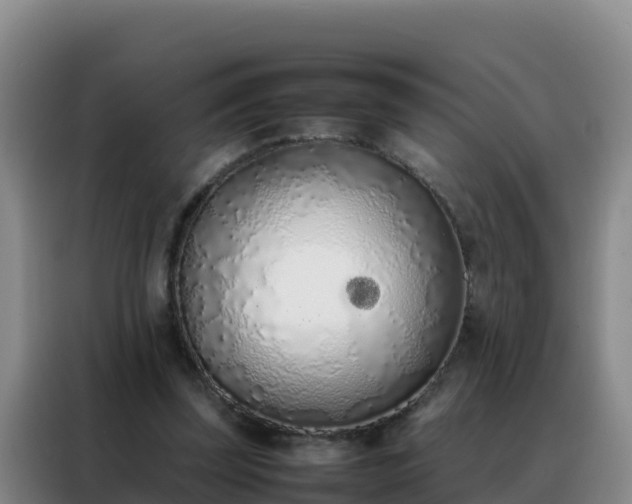 X0000088150347200705211200