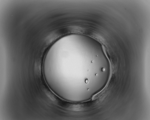 X0000088150349200705211200