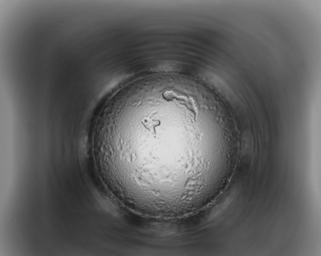 X0000088150351200705211201