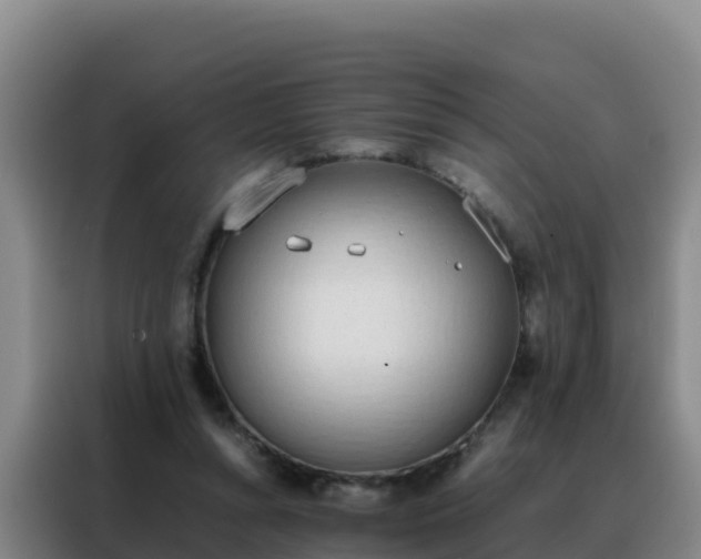 X0000088150352200705211201