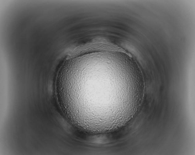 X0000088150353200705211201