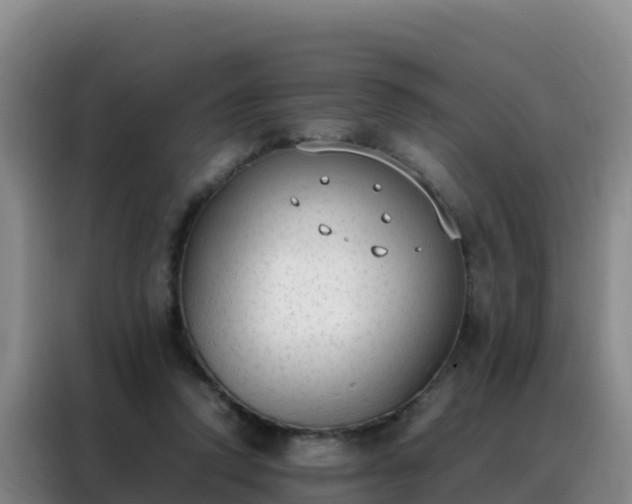 X0000088150354200705211201