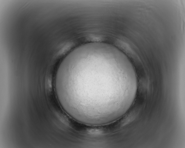 X0000088150358200705211201