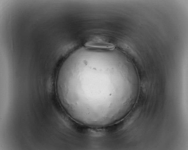 X0000088150359200705211201