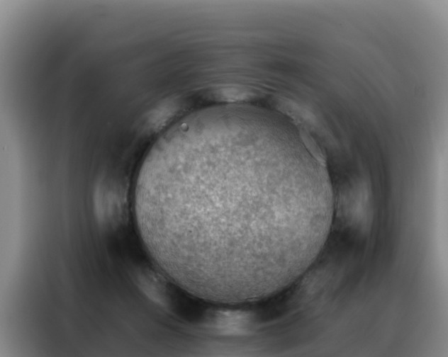 X0000088150360200705211201