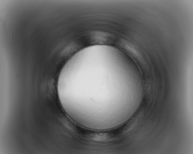 X0000088150361200705211201