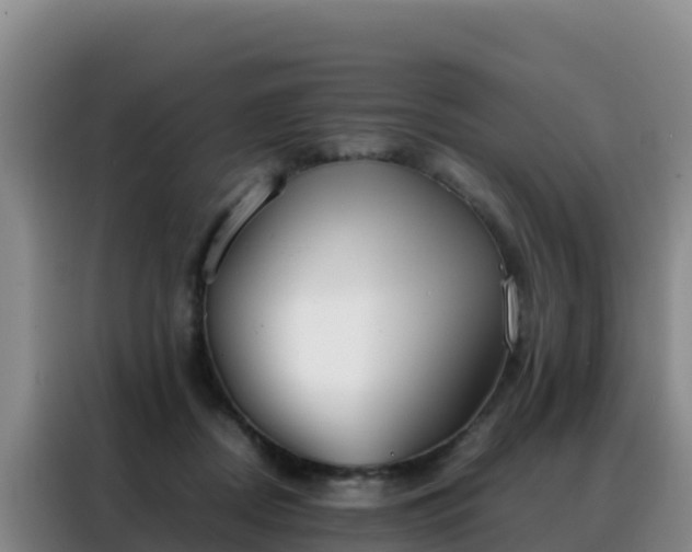 X0000088150362200705211201