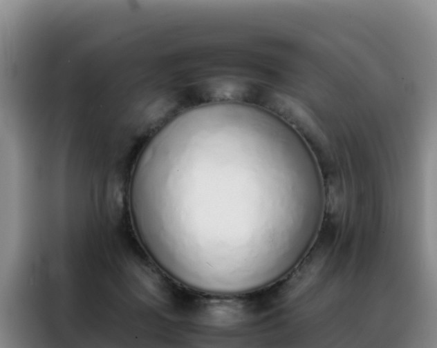 X0000088150363200705211201