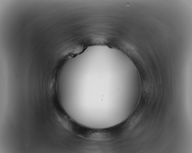 X0000088150364200705211201