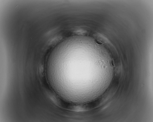 X0000088150365200705211201