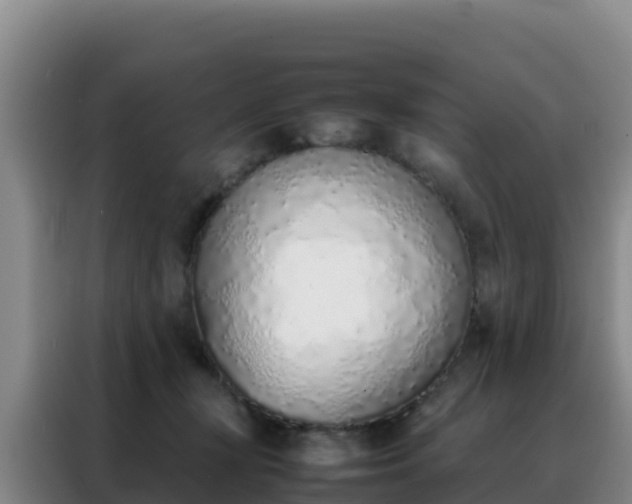 X0000088150367200705211201