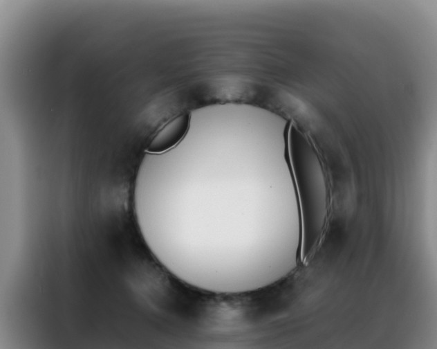 X0000088150368200705211201