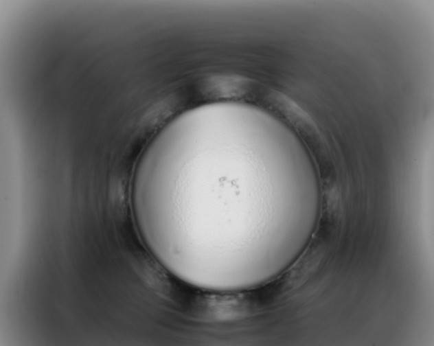 X0000088150373200705211201