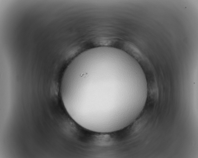 X0000088150374200705211201