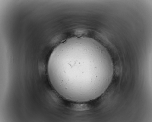 X0000088150375200705211201