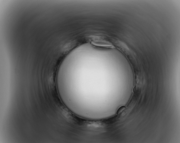 X0000088150377200705211201