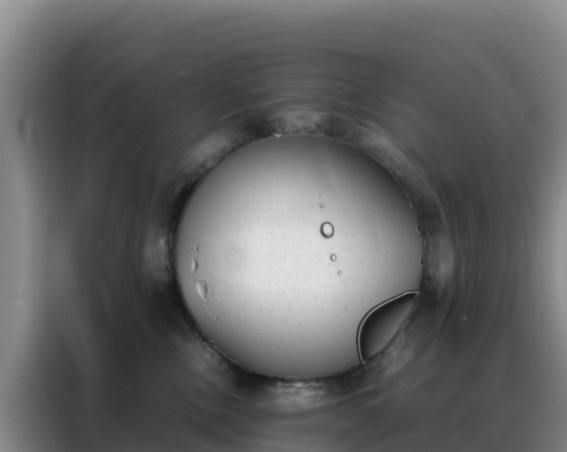 X0000088150378200705211201