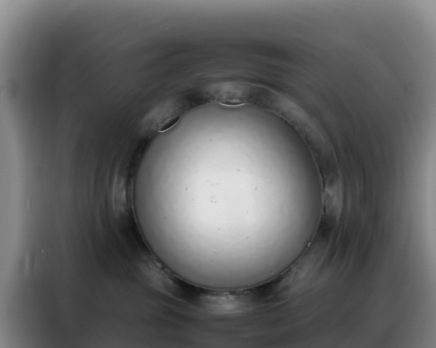 X0000088150381200705211201