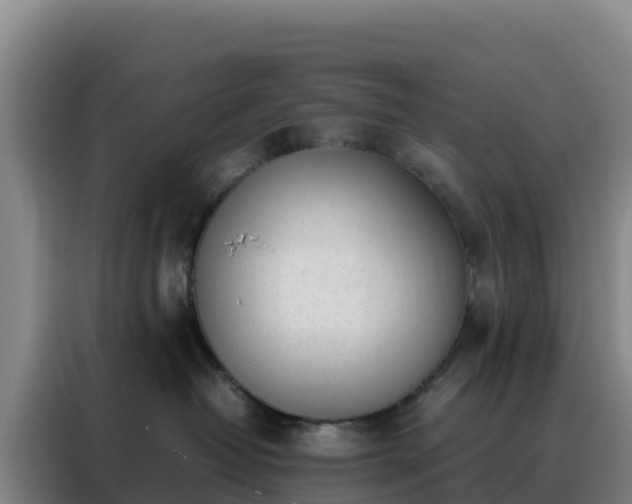 X0000088150382200705211201