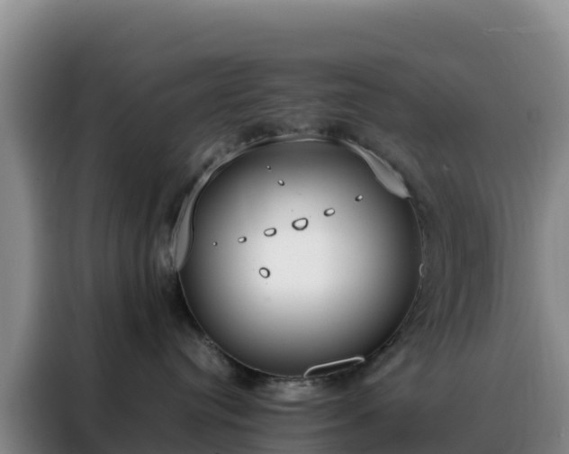 X0000088150384200705211201