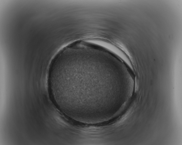 X0000088150387200705211200