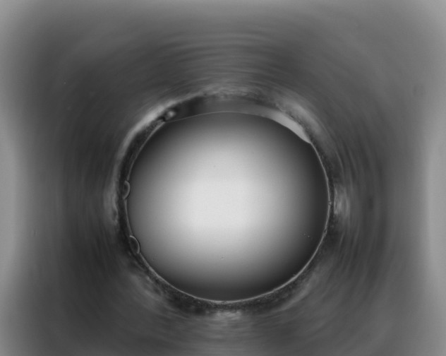 X0000088150388200705211200