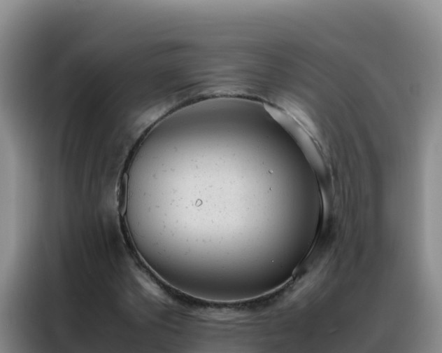 X0000088150389200705211200