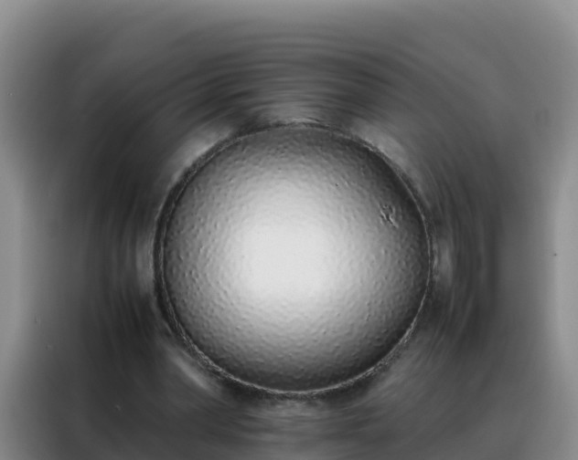 X0000088150390200705211200