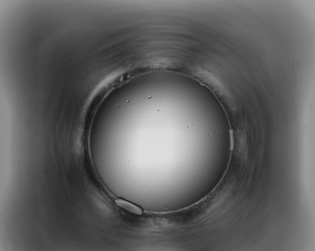 X0000088150392200705211200