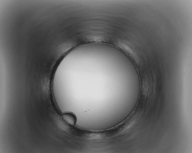 X0000088150394200705211200