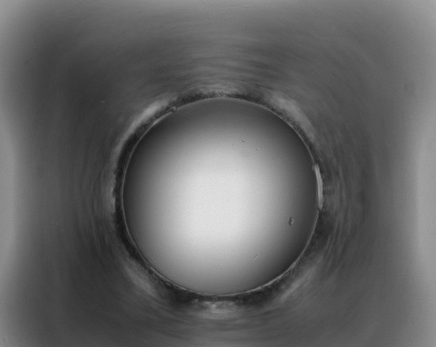 X0000088150395200705211200