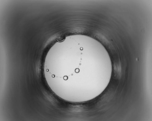 X0000088150396200705211200