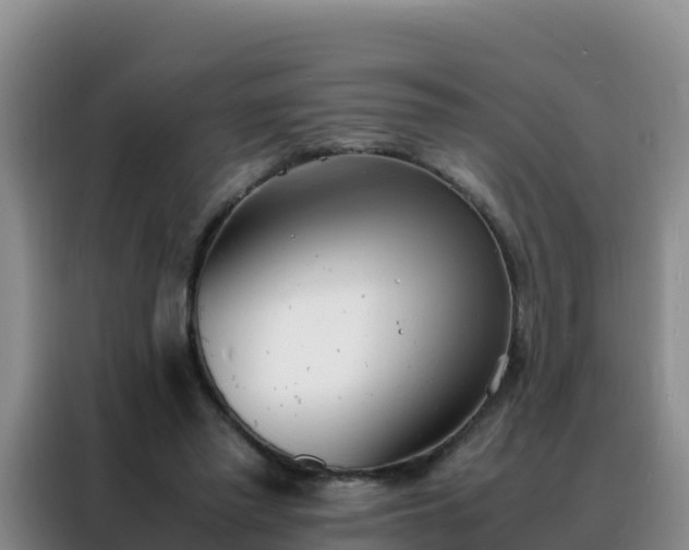 X0000088150397200705211200