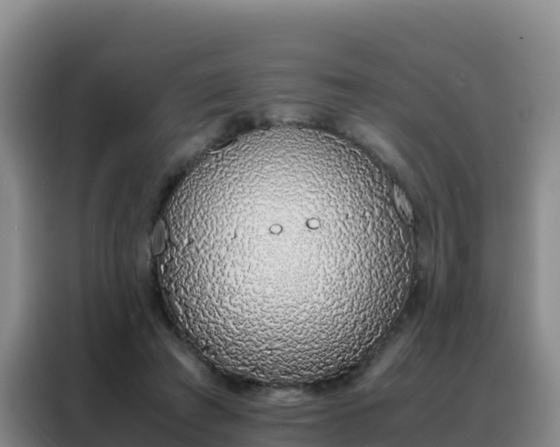 X0000088150401200705211200