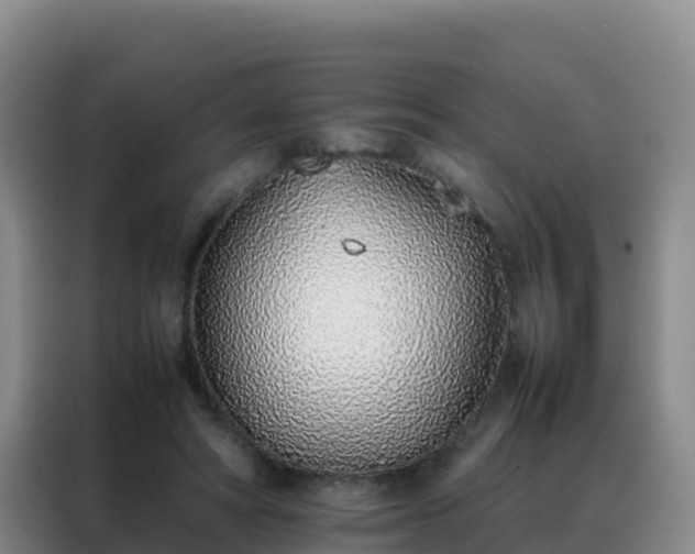 X0000088150402200705211200