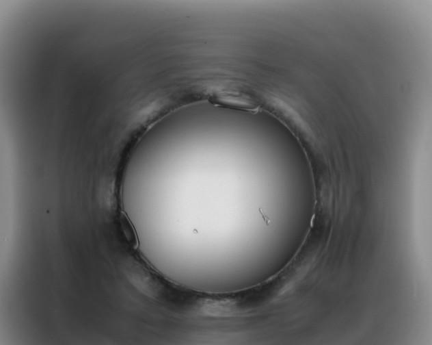 X0000088150403200705211200