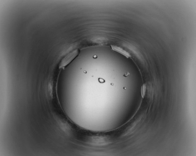 X0000088150404200705211200