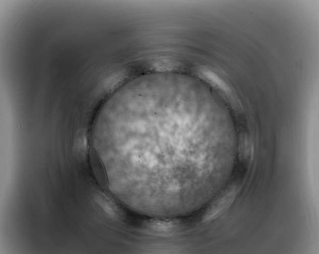 X0000088150405200705211200