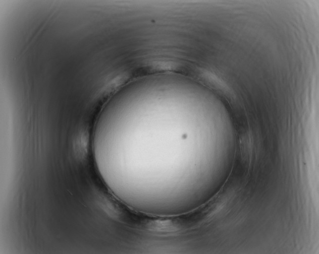 X0000088150406200705211200