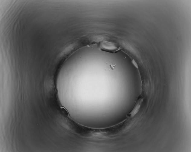 X0000088150407200705211200